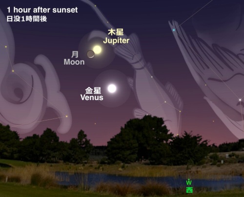 (ILLUSTRATION BY ANDREW FAZEKAS)