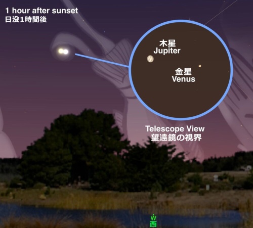 (ILLUSTRATION BY ANDREW FAZEKAS)