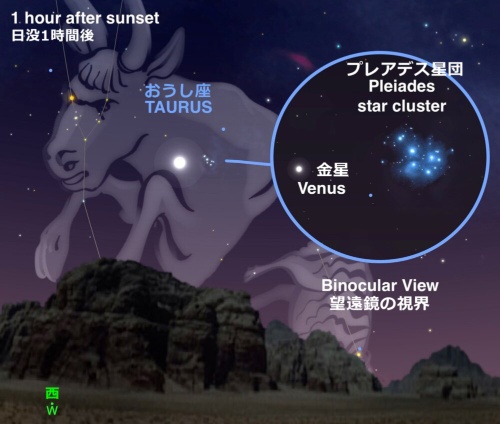 (ILLUSTRATION BY ANDREW FAZEKAS)