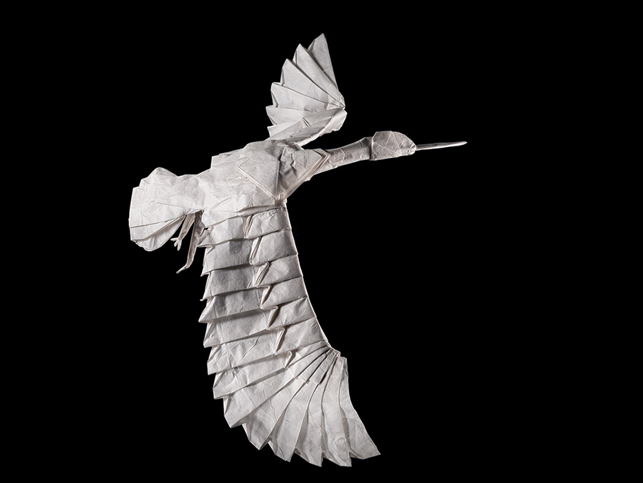 未来を開く「オリガミ」 | ナショナル ジオグラフィック日本版サイト