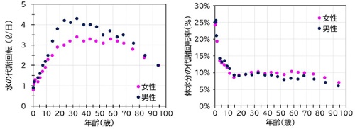 (左)体の水の出入り量「代謝回転」と、(右)体の水分量で割った「代謝回転率」。年齢とともに変化している。いずれも平均値で、実際には個人差が大きい(同研究所提供)