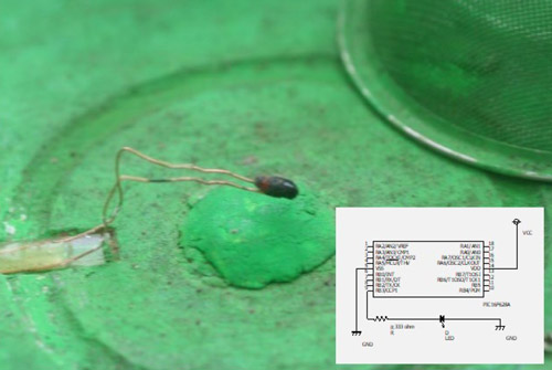 蛍の光、交尾していないメスだけ瞬かず、ヘイケボタルで発見