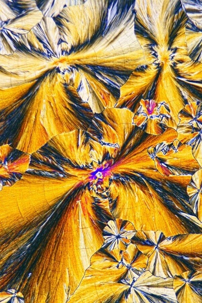 ギャラリー:現実味を帯びる「幻覚剤療法」、専門家の育成が急務に、米国 写真6点(写真クリックでギャラリーページへ)