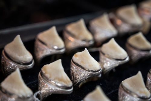 ギャラリー:絶滅危惧シノノメサカタザメの違法取引がネットで横行 写真10点(画像クリックでギャラリーへ)