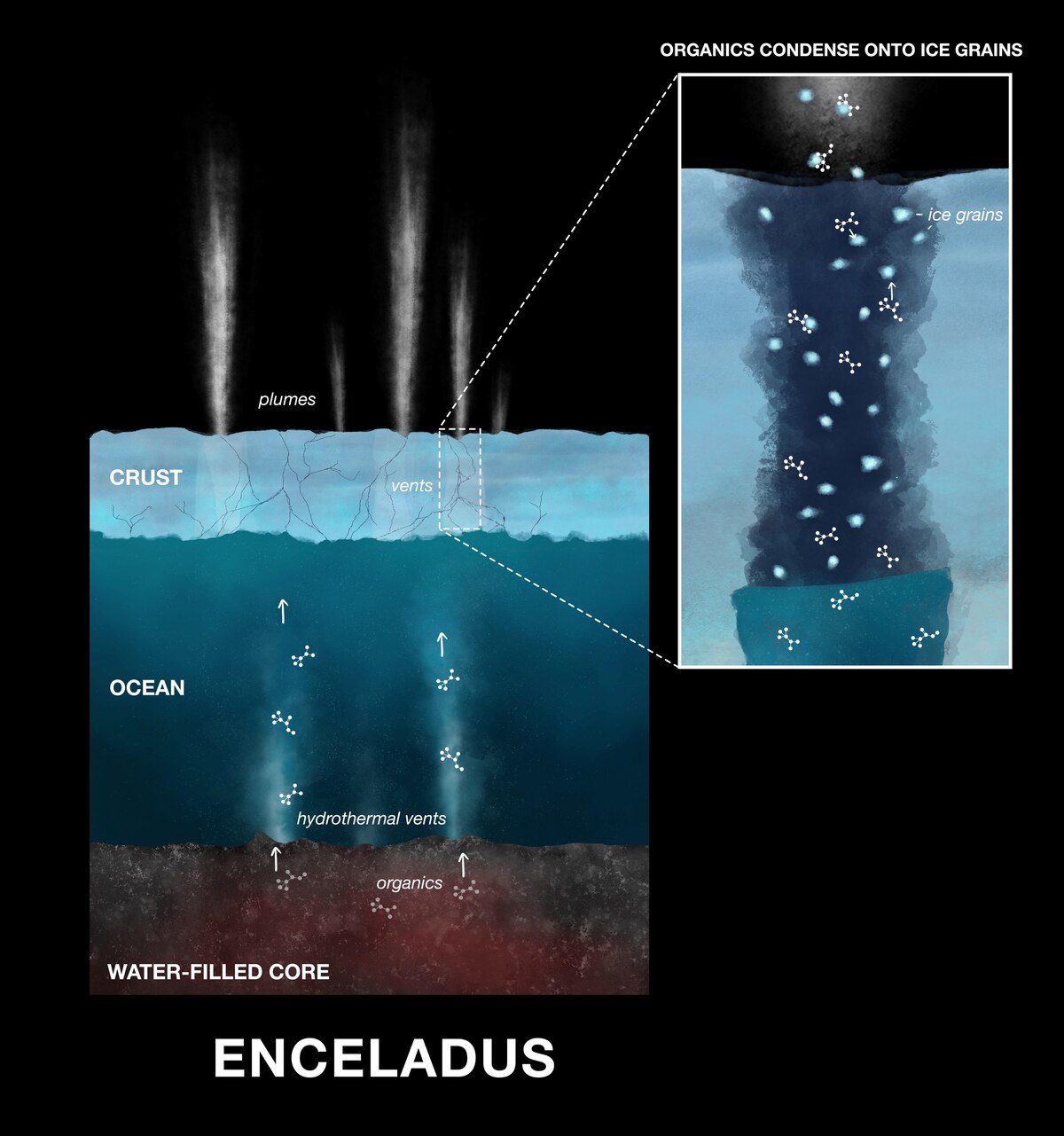 エンケラドスには強力な熱水噴出孔があり、核から内部海に物質を噴出させている可能性があると考えられている。水と混ざり合った物質は、水蒸気や氷の粒とともに宇宙空間に噴出する。（ILLUSTRATION BY NASA/JPL-CALTECH）