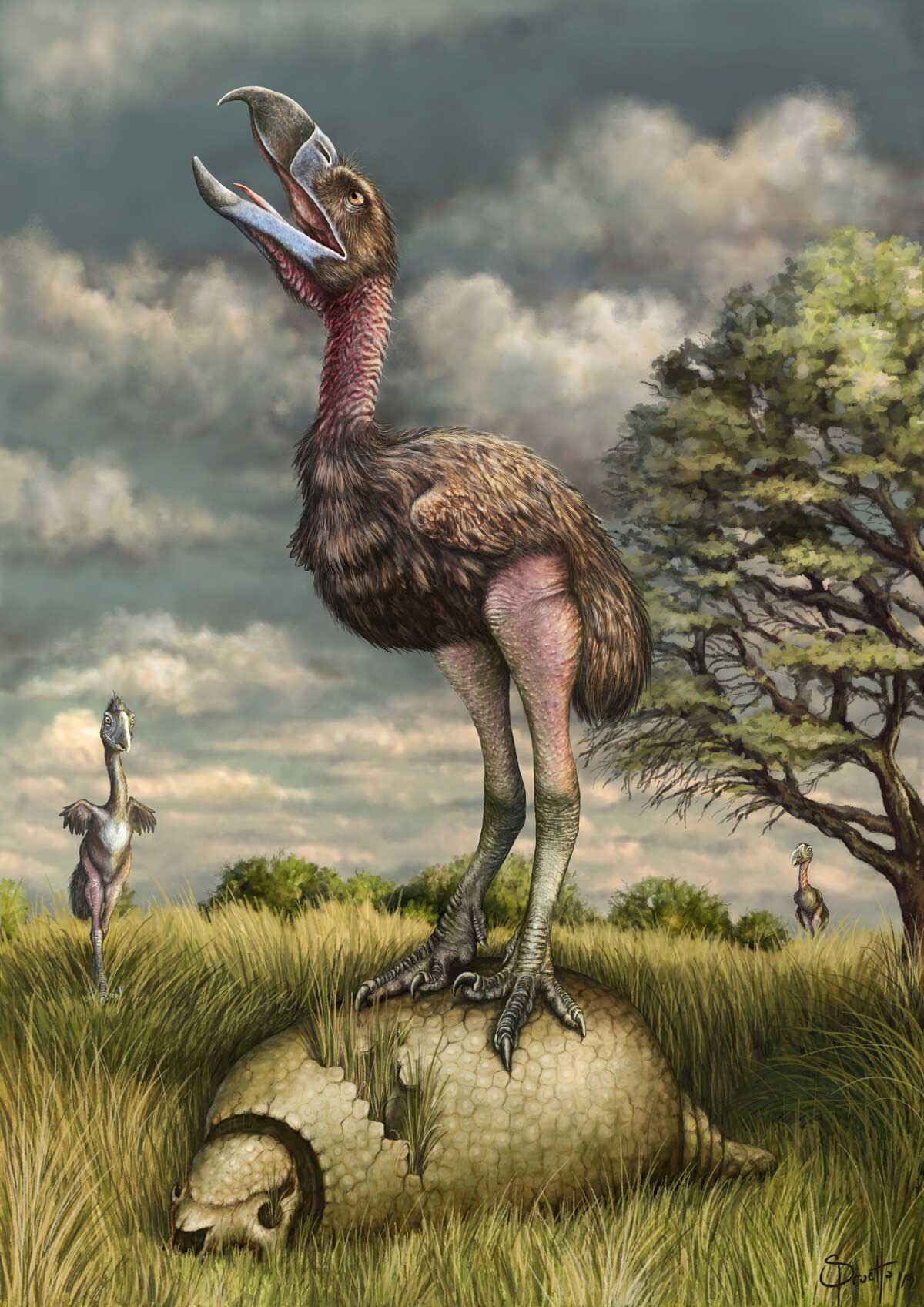 600万年前の「恐怖の鳥」の足跡を初めて発見、狩りの方法が判明