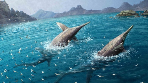 2頭並んで泳ぐイクチオタイタン・セベルネンシス（Ichthyotitan severnensis）の復元図。古生物学者たちはこの海洋爬虫類がシャチのような存在だったのではないかと考えている。（ILLUSTRATION BY GABRIEL UGUETO-DEAN LOMAX）