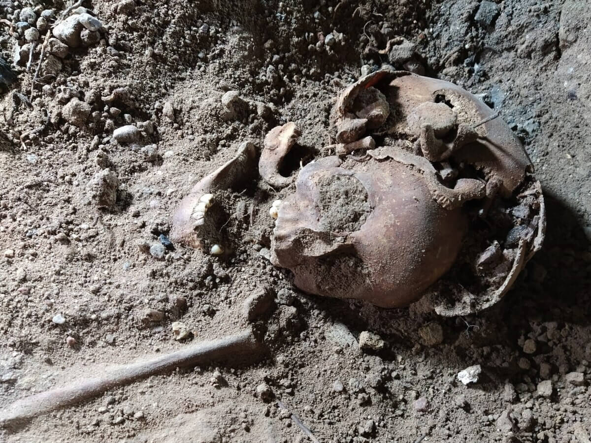 ヒトラーの砦跡から手足のない5体の人骨を発見、生贄の可能性も