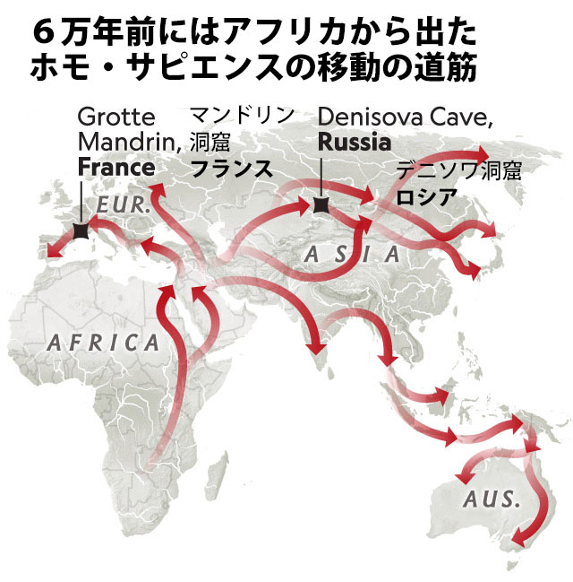 ネアンデルタール人の最後の日々 どこで暮らし、なぜ絶滅したのか