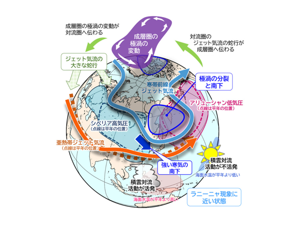 サイエンスポータル｜ニュース | ナショナル ジオグラフィック日本版サイト