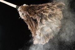9900万年前のアンモナイトが琥珀に、おそらく初 | ナショナル 9900万年前のアンモナイトが琥珀に、おそらく初 | ナショナル