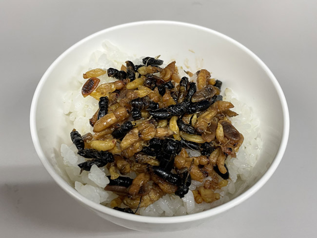 蜂の子」の材料のスズメバチは鳥や哺乳類も食べる、エサ324種