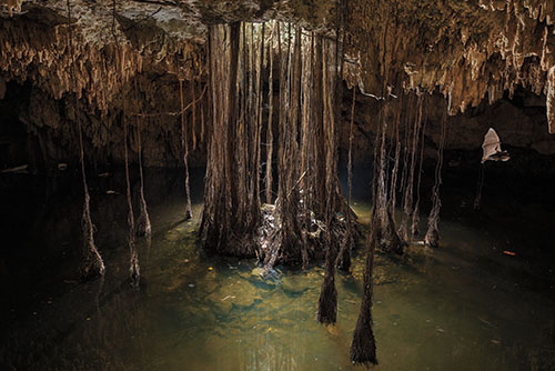 メキシコの未来を輝かせる鉄道は、輝かしい過去を置き去りにする