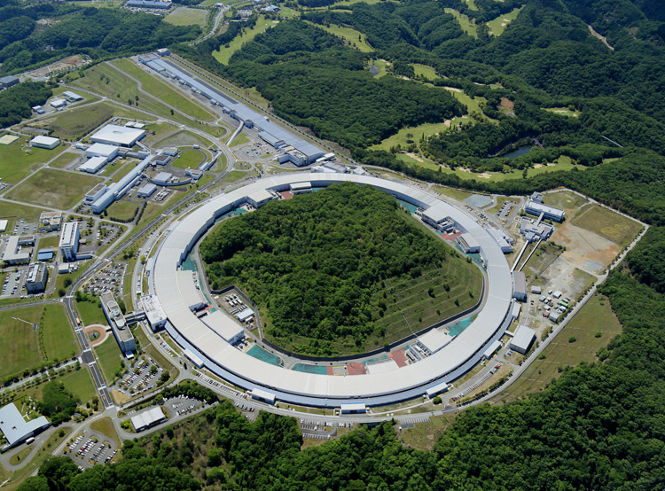 SPring-8によって、香木の組織の様子を観察した（理化学研究所提供）