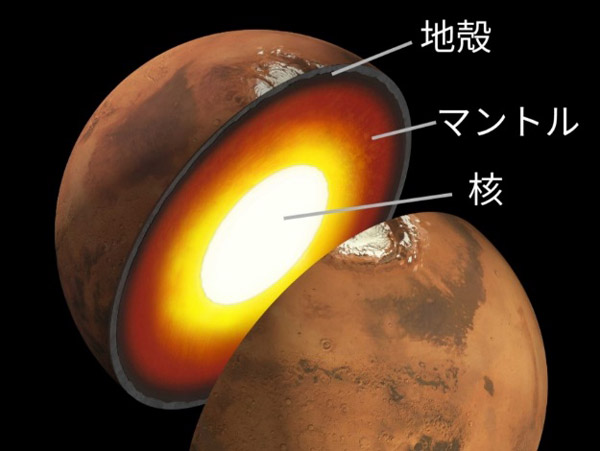 火星の内部。表面から中心に向け地殻、マントル、核の層構造を持つ（NASA提供の想像図に加筆）