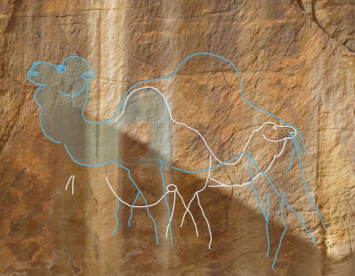 アラビア半島で1万2000年前のラクダの巨大岩絵を発見、定説覆す