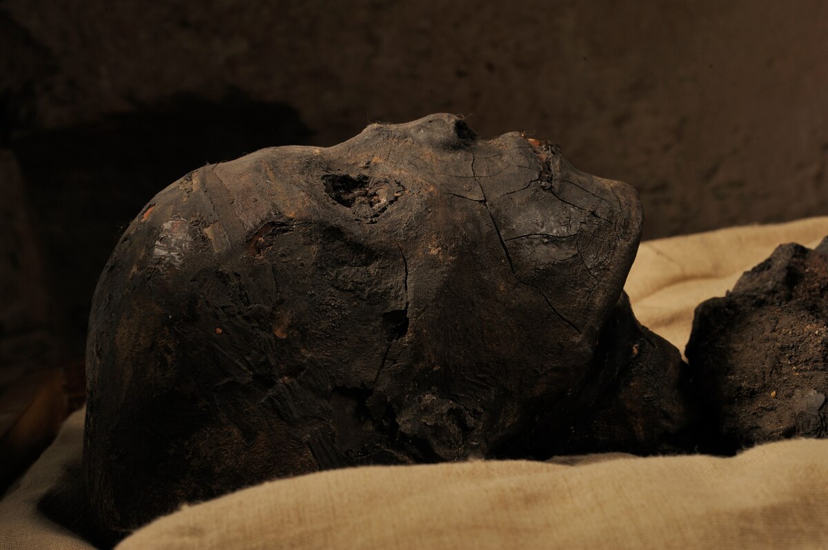 古代エジプトの道具で現代人をミイラに、物議を醸した衝撃の実験