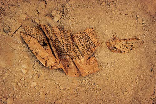 2013年、発掘チームが紅海沿いで作業していたところ、パピルスに書かれた日誌が見つかった。そこには、巨大な石のブロックを、トゥーラの採石場からピラミッドの建造現場まで運んだ過程が記録されていた。（PHOTOGRAPH BY PIERRE TALLET, WADI EL JARF ARCHAEOLOGICAL MISSION）