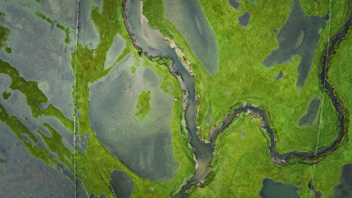 動画】「100秒でわかる地球」がすごい、71秒間は人間の足跡