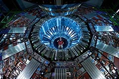 希少「幽霊ラン」に危機、世界を魅了する美しい花 | ナショナル ジオ