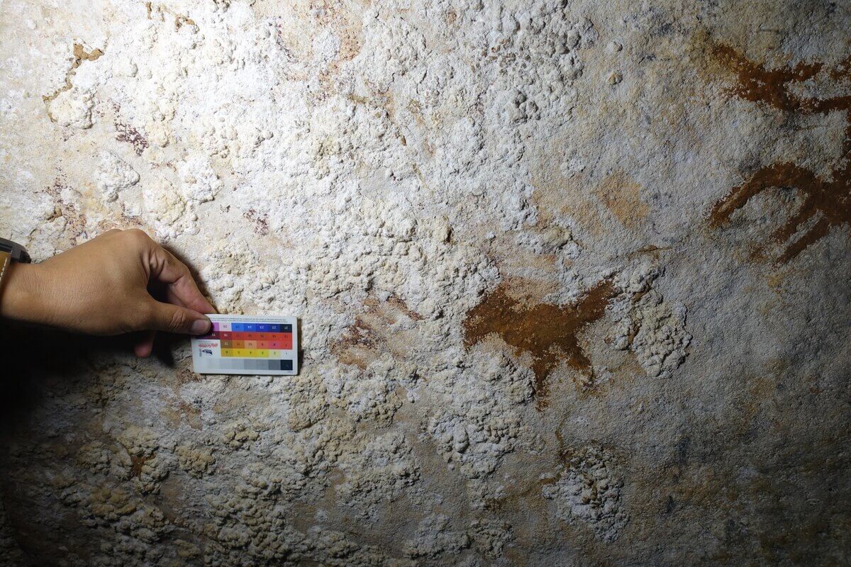 世界最古の洞窟壁画を発見、6万7800年前 インドネシア | ナショナル