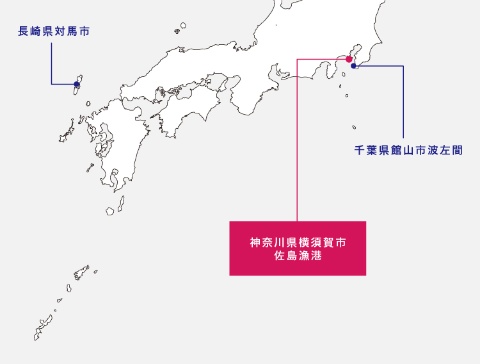 日本近海におけるテーブル状ミドリイシの分布北限。これまでの地域より北に移動した