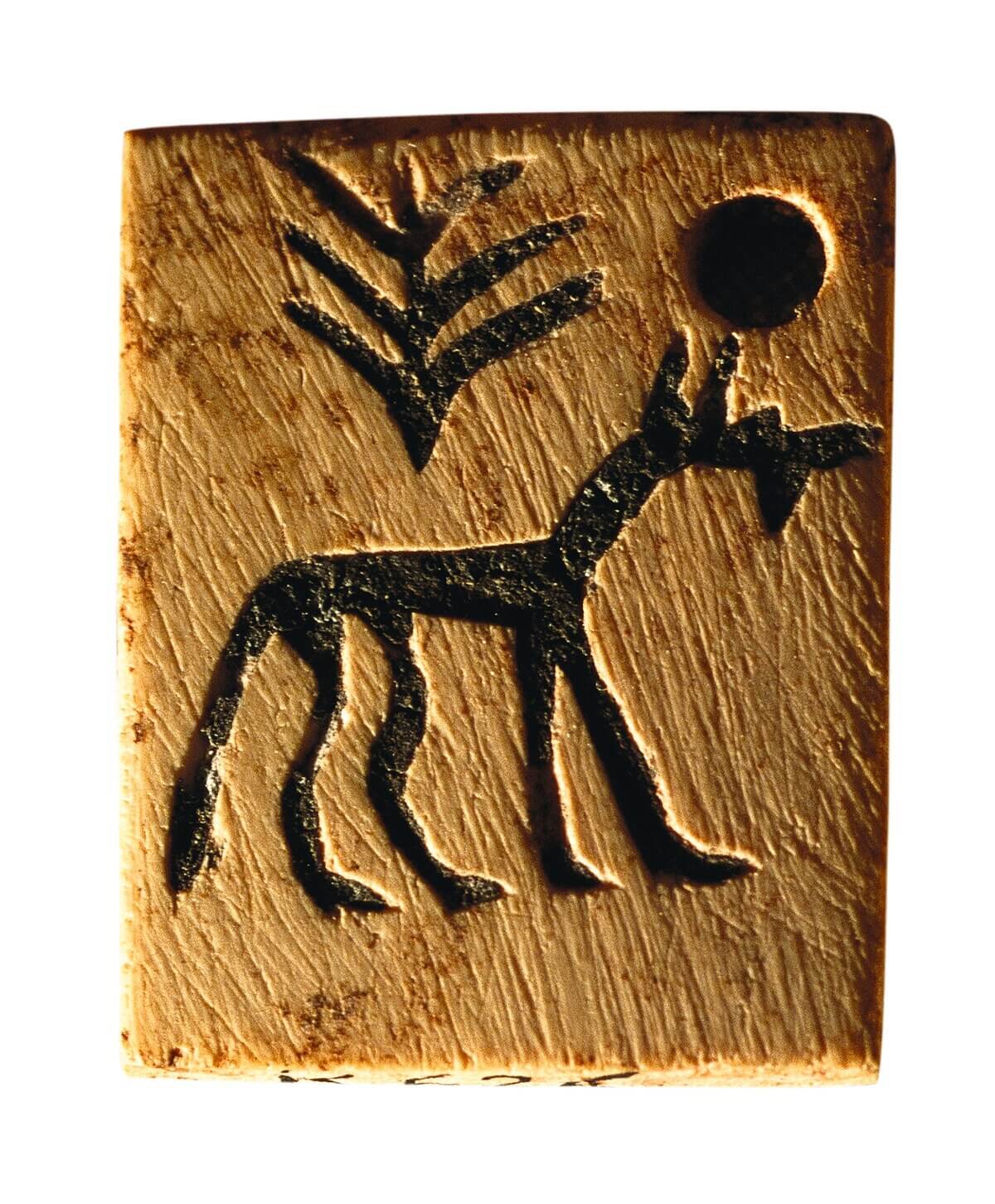 古代エジプトの象形文字はなぜ魔法の力が宿る「神聖な文字」に