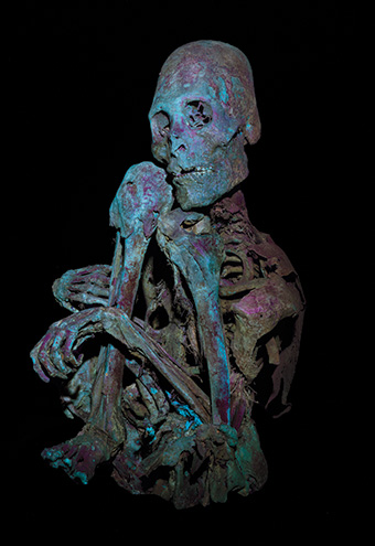 古代の謎を解き明かすミイラ研究所、病気や食生活で大きな成果
