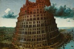 希少「幽霊ラン」に危機、世界を魅了する美しい花 | ナショナル ジオ