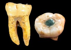 かつての首狩り族「ナガ」に平和は訪れるか | ナショナル ジオ