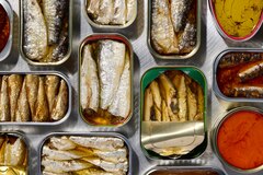 第5回 小泉武夫（醸造学・発酵学・食文化論）：発酵は世界を救う（提言