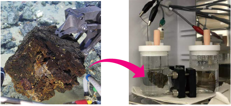 深海熱水噴出孔近くから採取した岩石（左）の小片を針金で巻いて人工海水に入れて電気を流し、微生物の増殖を調べた（JAMSTEC提供）