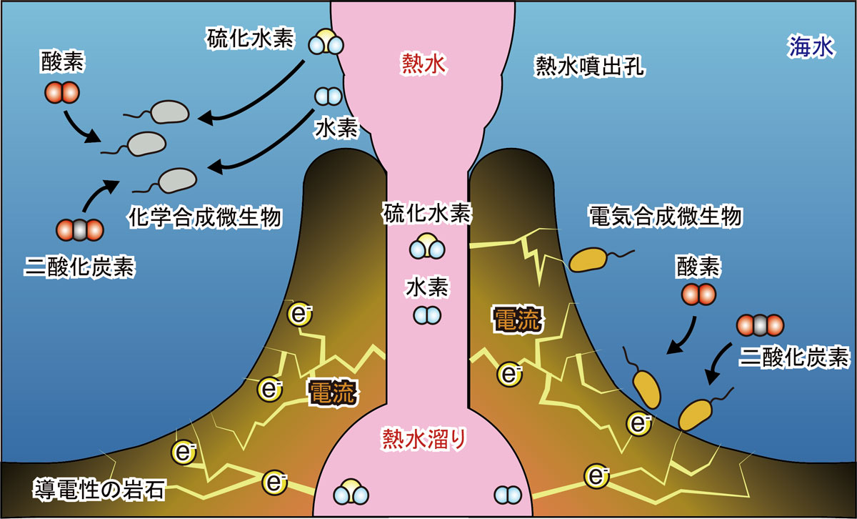 熱水が噴き出す深海熱水噴出孔の周りに沈殿した導電性の岩石は、硫化水素や水素から放出された電子を海水側に伝える（JAMSTEC提供）