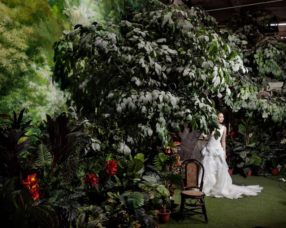 中国で流行 豪華すぎる結婚写真16点 ナショナルジオグラフィック日本版サイト