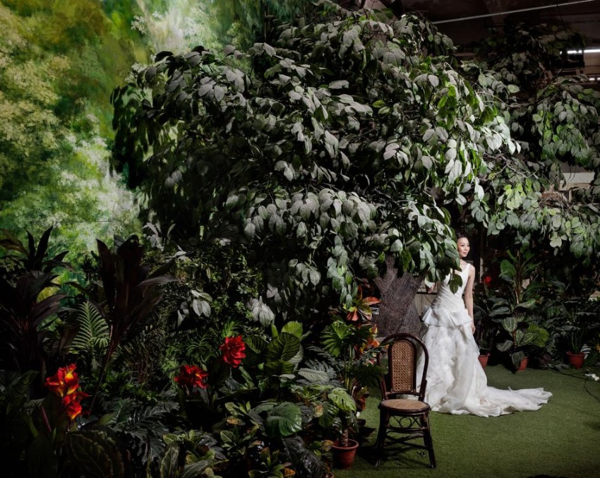 中国で流行 豪華すぎる結婚写真16点 ナショナルジオグラフィック日本版サイト