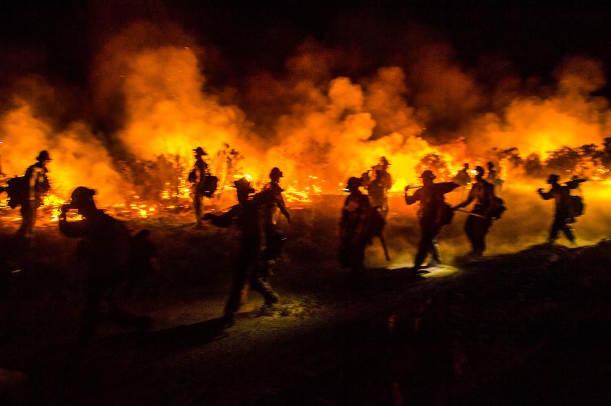 現場に突入 消防士だから撮れた山火事の内側 写真18点 ナショナルジオグラフィック日本版サイト