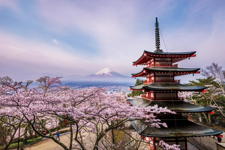 富士山を7年間 撮り続けた日本人写真家 絶景写真15点 ナショナルジオグラフィック日本版サイト