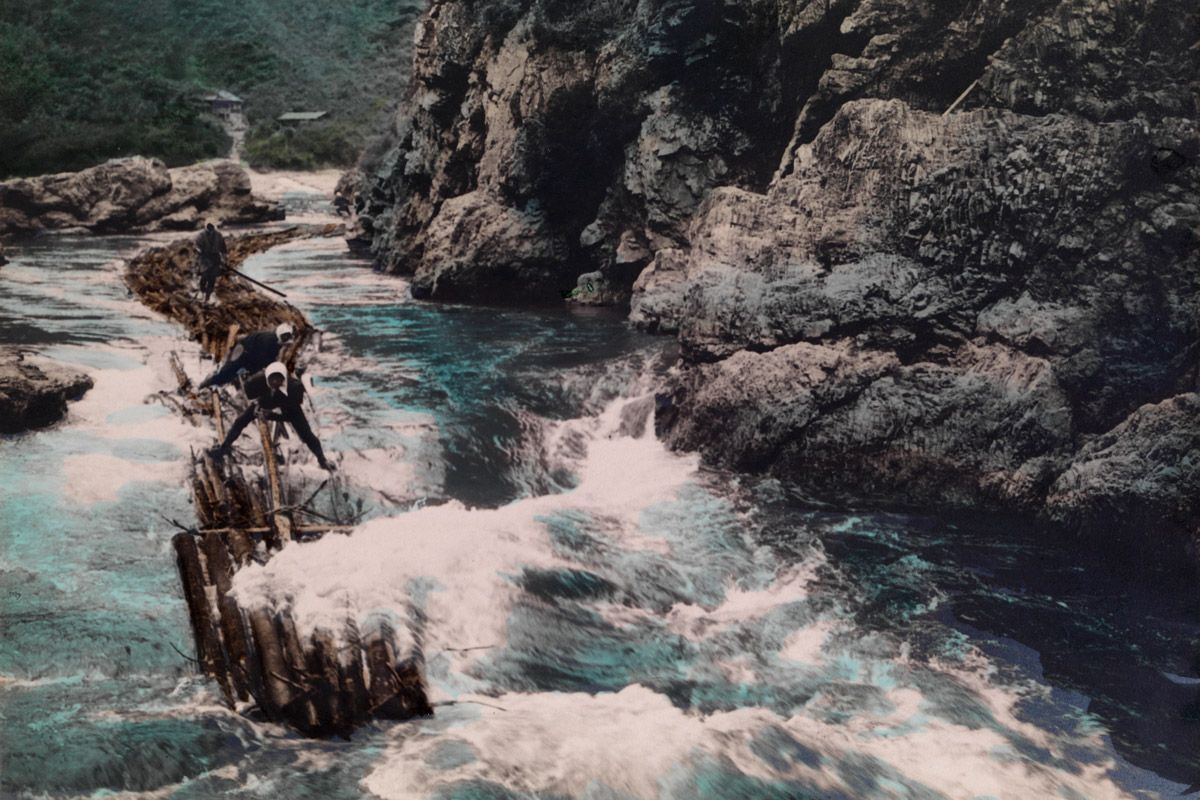 Photo of the Day | ナショナル ジオグラフィック日本版サイト