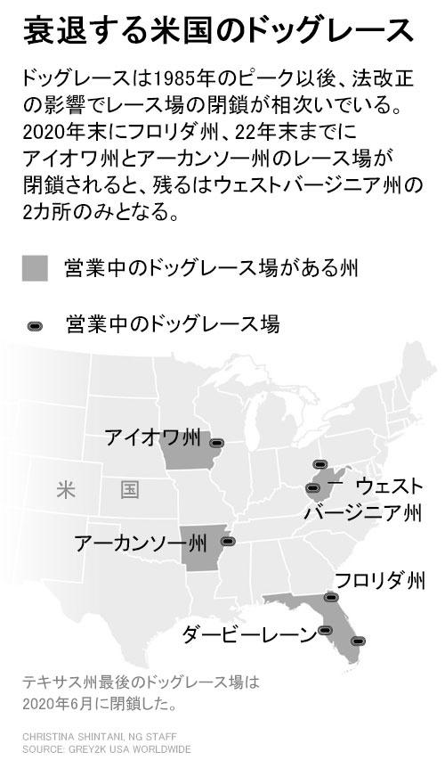 ナショナルジオグラフィック