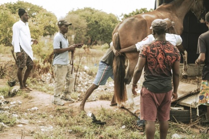 アフリカ・ガーナの競馬を支える小さな厩舎での一日。  14枚（写真クリックでギャラリーページへ）