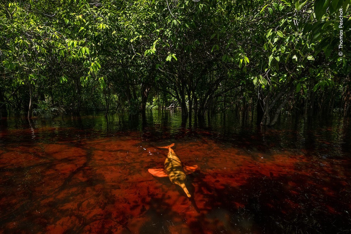 Water Is Life: International Photo Contest 2003 (水は生命で