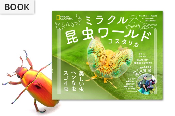 ミラクル昆虫ワールド コスタリカ ストア ナショナルジオグラフィック日本版サイト
