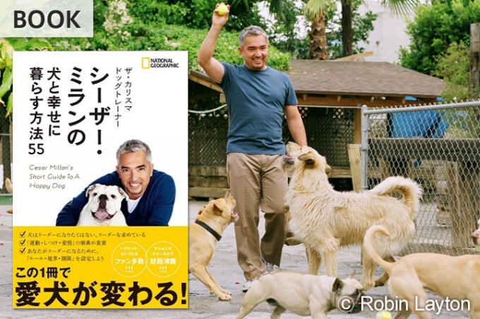 シーザー ミランの犬と幸せに暮らす方法55 ストア ナショナルジオグラフィック日本版サイト シーザー ミランの犬と幸せに暮らす方法55 ストア ナショナルジオグラフィック日本版サイト