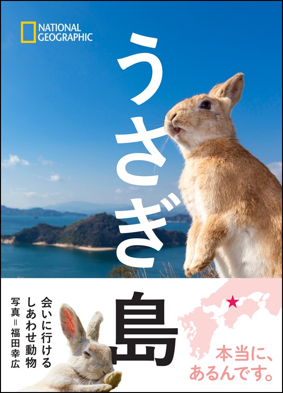 瀬戸内海の うさぎ島 何が問題 ナショナルジオグラフィック日本版サイト