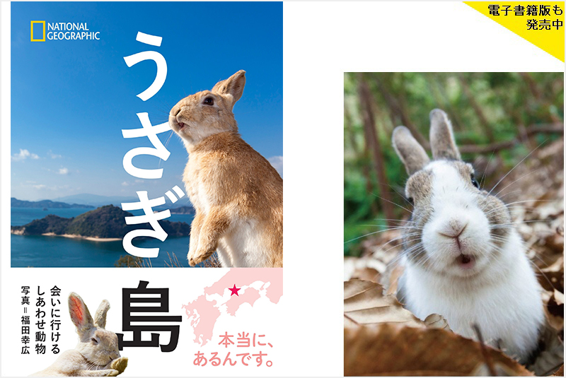 うさぎ島 | 書籍 | ナショナル ジオグラフィック日本版サイト