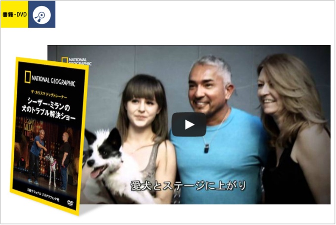 ザ カリスマ ドッグトレーナー シーザー ミランの犬のトラブル解決ショー ストア ナショナルジオグラフィック日本版サイト ザ カリスマ ドッグトレーナー シーザー ミランの犬のトラブル解決ショー ストア ナショナルジオグラフィック日本版サイト