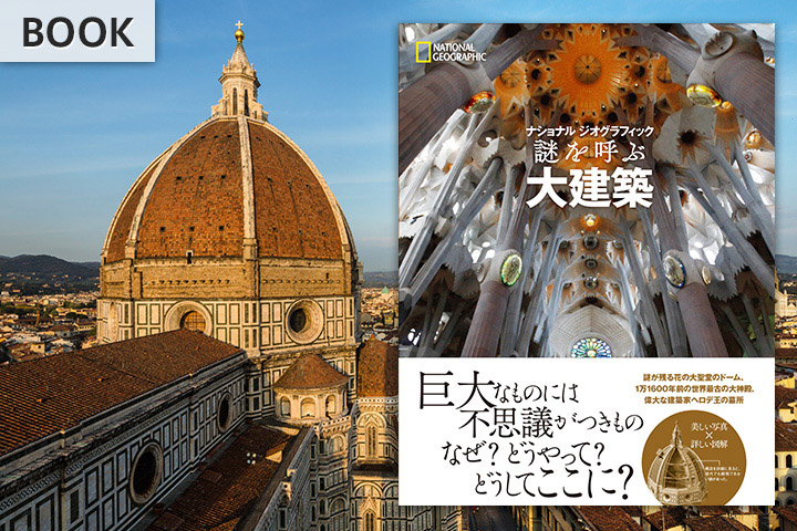 謎を呼ぶ大建築 | 書籍 | ナショナル ジオグラフィック日本版サイト