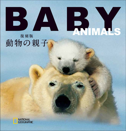 復刻版 動物の親子 書籍 ナショナル ジオグラフィック日本版サイト 復刻版 動物の親子 書籍 ナショナル ジオグラフィック日本版サイト