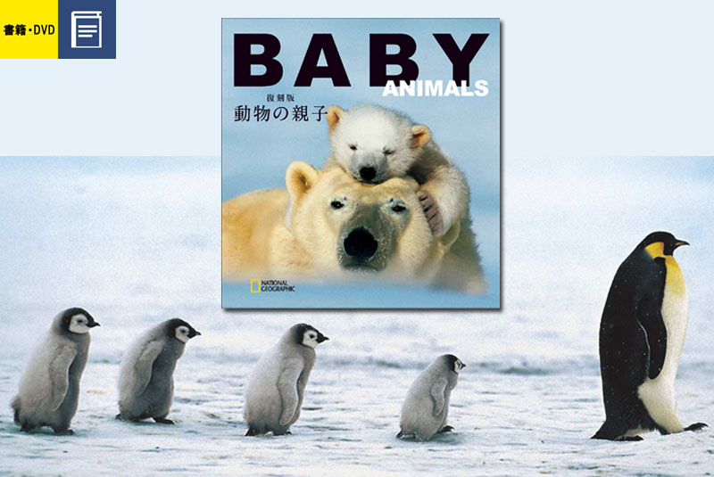 復刻版 動物の親子 | 書籍 | ナショナル ジオグラフィック日本版サイト