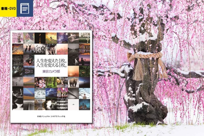 人生を変えた1枚 人生を変える1枚 ストア ナショナルジオグラフィック日本版サイト 人生を変えた1枚 人生を変える1枚 ストア ナショナルジオグラフィック日本版サイト